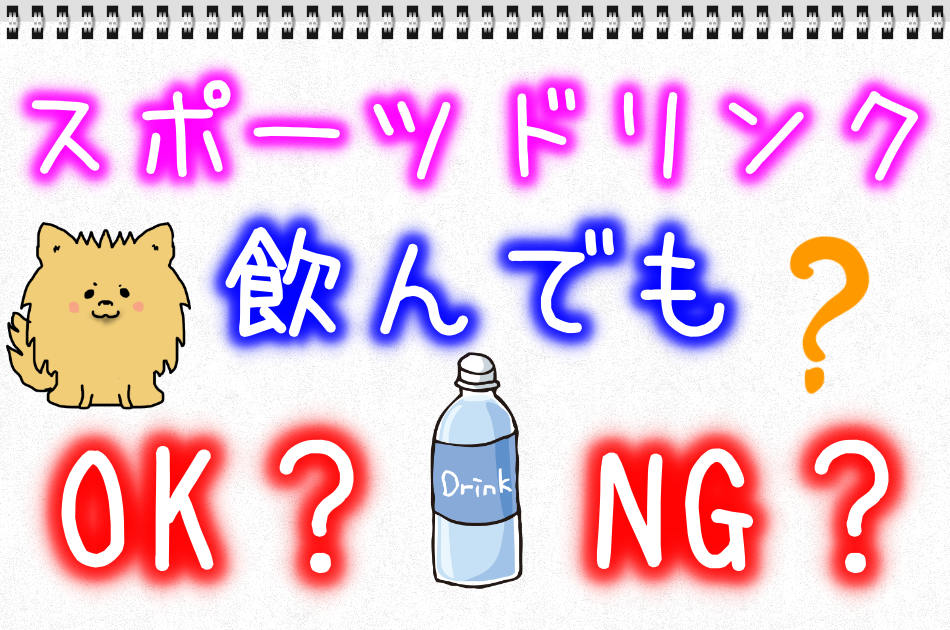 犬にスポーツドリンクを飲ませても大丈夫 成分からしっかり考える ポメラニアンあずきと元気に暮らす 犬と一緒に健康に