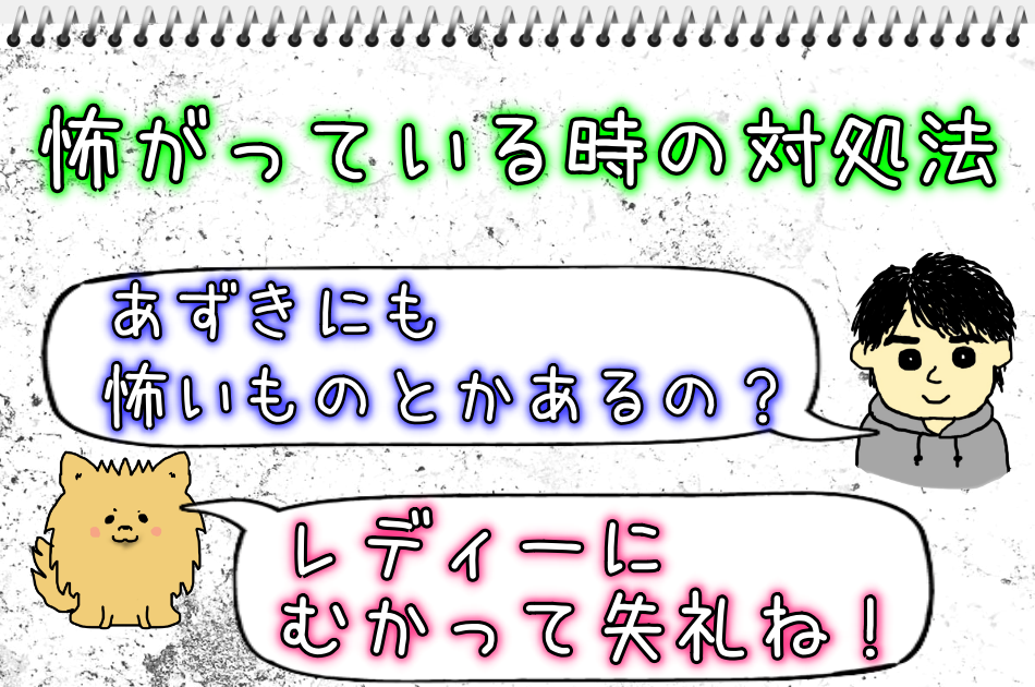 犬が怖がる時に落ち着かせる方法は なぜあずきはあれが不安になる ポメラニアンあずきと元気に暮らす 犬と一緒に健康に
